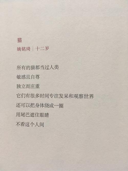 儿童阅读的文案(提倡儿童阅读的文案)