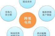 电子商务跨境电商发展(跨境电子商务模式的发展前景和挑战)