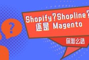 电商独立站有哪些(国内电商独立站有哪些)
