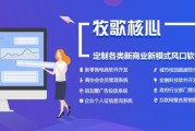 电商系统那家好(电商系统软件有哪些)