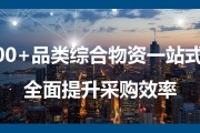 自主电商(自主电商平台网址)