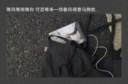 配文案的图片(适合配文案的图片)