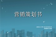 营销策划(营销策划公司)