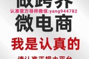 新派电商(电商派官方网站)