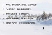 大雪节气的文案(大雪节气的文案手机行业)