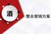白酒营销策划方案(白酒营销策划方案模板范文)