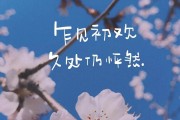 痴情文案(痴情文案短句干净)
