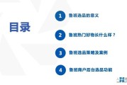 鲁班电商选品(鲁班电商卖什么产品好)