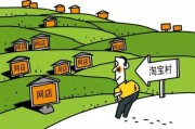 电商进农村(电商进农村综合示范项目)