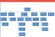 电商运营网(电商运营哪个平台比较好)