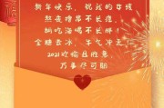 春节英语文案(春节的英语文案)