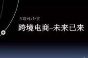 综合型电商(综合型电商的物流一般采用 方式)