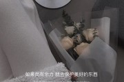 第一眼就心动的文案(第一眼就心动的文案爱情)