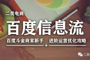 新手电商(新手电商如何入门)