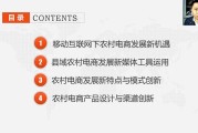 常见的电商创业机会有哪些(其他电商创业现象及创业机会)