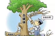 温州自媒体(温州自媒体人)