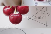 车厘子自由文案(车厘子自由的文案)