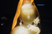 老客户带新客户营销方案
:面对电商的冲击，实体行业如何寻求客户资源？