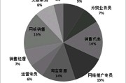 国内外电商(国内电商平台有哪些)