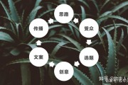 如何使用自媒体(如何使用自媒体ppt)
