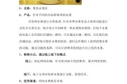水果店营销方案(水果营销策划方案)