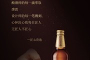 纯粮酒文案(五粮液白酒文案)