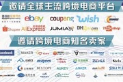 电商需要会什么(做网上电商都要会什么)