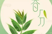 春分文案主题创意的简单介绍