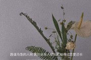 适合发朋友圈的文案给学生(适合发朋友圈的文案给学生看)