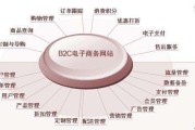 电子商务电商模式(电子商务电商模式是什么)