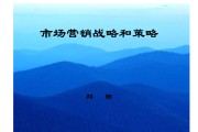 导入期营销策略(导入期营销策略案例)