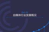 什么是自媒体公司(自媒体公司都有哪些)