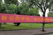 大学班级文案(关于大学班级的文案)