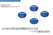 电商营销(电商营销的策略与方法)