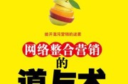网络营销的本质(网络营销的本质与艺术性)