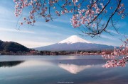 富士山文案(富士山的文案)