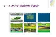 农产品营销策划方案(家乡农产品营销策划方案)