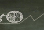 哪些电商(哪些电商erp对接了抖音)