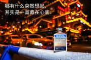 发什么文案让前任想追回你的简单介绍
