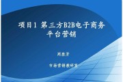 b2b营销(B2b营销saas)