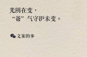 父亲节篮球文案(父子打篮球的文案)