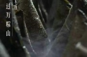 餐饮端午节文案(餐饮端午节文案简短)