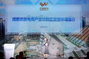 电商成都(电商成都高新招聘)