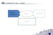 啤酒营销方案(啤酒营销方案总结)