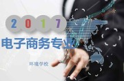 电商项目的介绍(电商项目的介绍怎么写)