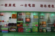 何谓电商(电商到底是做什么的)