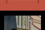 爱国营销(小米爱国营销)