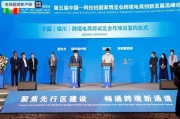 阿拉伯电商(阿里海外电商)