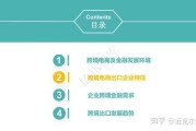 跨境电商蓝皮书(跨境电商运营是干啥的)