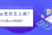 竞价推广营销(竞价推广营销教程)